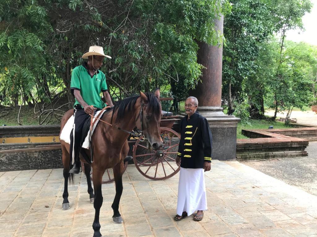 Aswadduma Hotel Dambulla Exterior foto